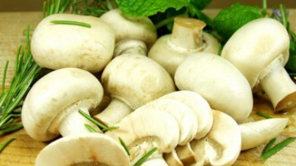 Можно ли кормящей маме грибы шампиньоны?