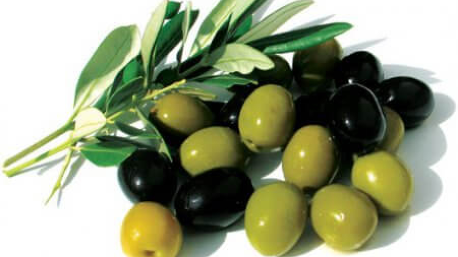 Можно ли оливки кормящей маме?