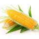 Можно ли кукурузу при грудном вскармливании?