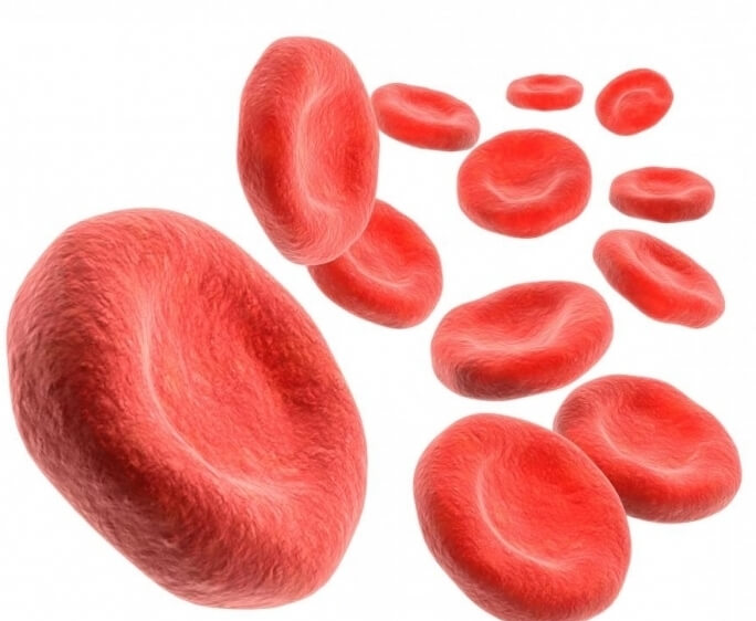 Препараты железа при анемии в период лактации thumbnail